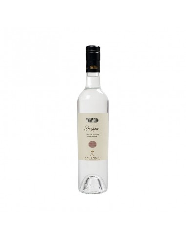 Grappa Tignanello Antinori ML. 500