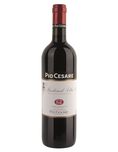 Barbera d'Alba 2022 Pio Cesare